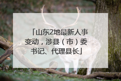 山东2地最新人事变动，涉县（市）委书记、代理县长