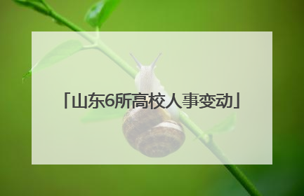 山东6所高校人事变动