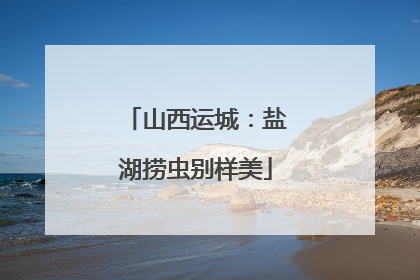 山西运城：盐湖捞虫别样美