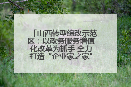 山西转型综改示范区：以政务服务增值化改革为抓手 全力打造“企业家之家”贴心服务体系