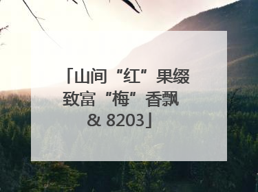山间“红”果缀 致富“梅”香飘& 8203
