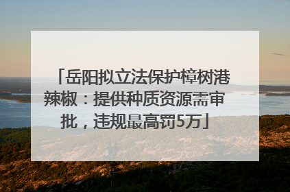 岳阳拟立法保护樟树港辣椒：提供种质资源需审批，违规最高罚5万