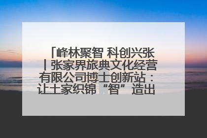 峰林聚智 科创兴张丨张家界旅典文化经营有限公司博士创新站：让土家织锦“智”造出非遗新传奇
