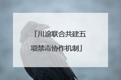 川渝联合共建五项禁毒协作机制