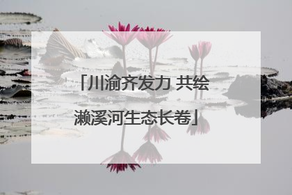 川渝齐发力 共绘濑溪河生态长卷