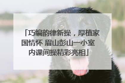 巧编韵律新操，厚植家国情怀 眉山彭山一小室内课间操精彩亮相