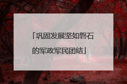 巩固发展坚如磐石的军政军民团结
