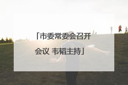 市委常委会召开会议 韦韬主持