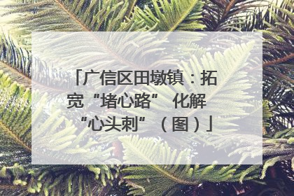 广信区田墩镇：拓宽“堵心路” 化解“心头刺”（图）
