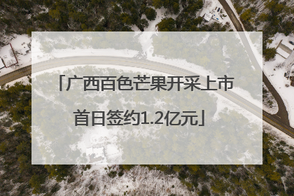 广西百色芒果开采上市 首日签约1.2亿元