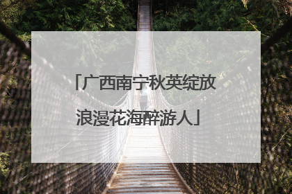 广西南宁秋英绽放 浪漫花海醉游人
