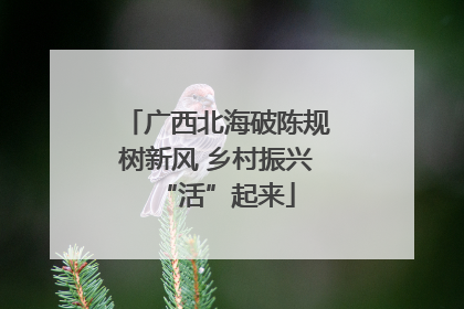 广西北海破陈规树新风 乡村振兴“活”起来