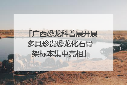 广西恐龙科普展开展 多具珍贵恐龙化石骨架标本集中亮相