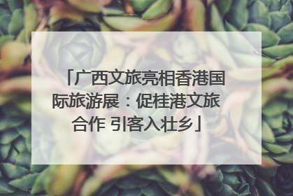 广西文旅亮相香港国际旅游展：促桂港文旅合作 引客入壮乡