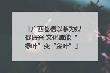 广西苍梧以茶为媒促振兴 文化赋能“绿叶”变“金叶”