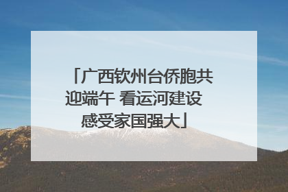 广西钦州台侨胞共迎端午 看运河建设感受家国强大
