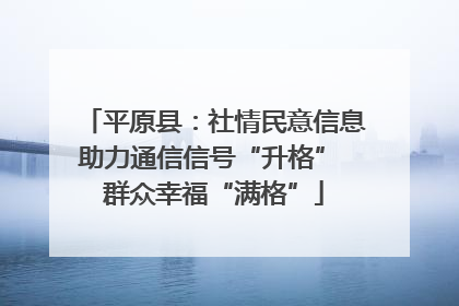 平原县：社情民意信息助力通信信号“升格” 群众幸福“满格”
