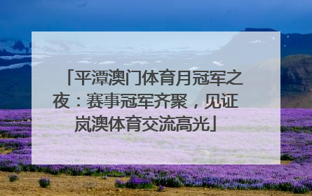 平潭澳门体育月冠军之夜：赛事冠军齐聚，见证岚澳体育交流高光