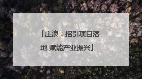庄浪：招引项目落地 赋能产业振兴