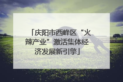 庆阳市西峰区“火辣产业”激活集体经济发展新引擎