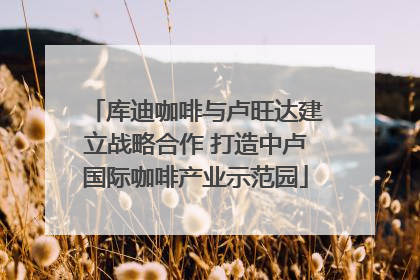 库迪咖啡与卢旺达建立战略合作 打造中卢国际咖啡产业示范园