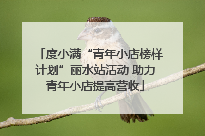 度小满“青年小店榜样计划”丽水站活动 助力青年小店提高营收