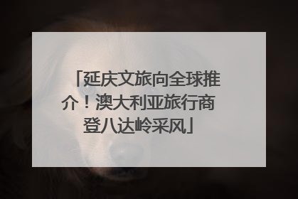 延庆文旅向全球推介！澳大利亚旅行商登八达岭采风
