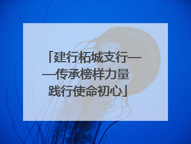 建行柘城支行——传承榜样力量 践行使命初心