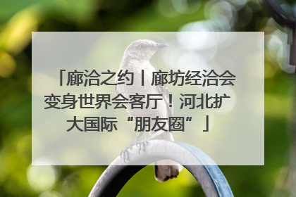 廊洽之约丨廊坊经洽会变身世界会客厅！河北扩大国际“朋友圈”