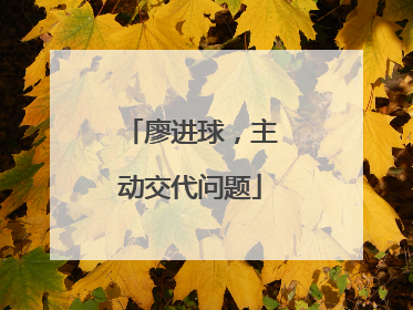廖进球，主动交代问题