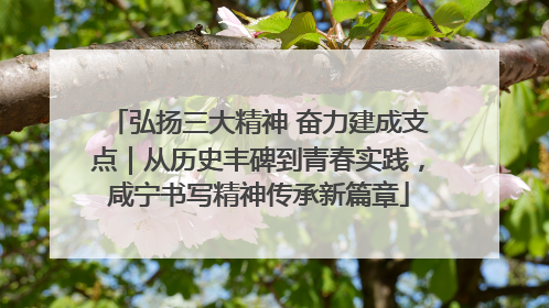 弘扬三大精神 奋力建成支点｜从历史丰碑到青春实践，咸宁书写精神传承新篇章