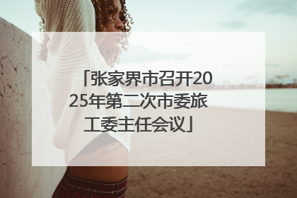 张家界市召开2025年第二次市委旅工委主任会议