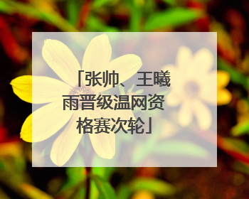 张帅、王曦雨晋级温网资格赛次轮