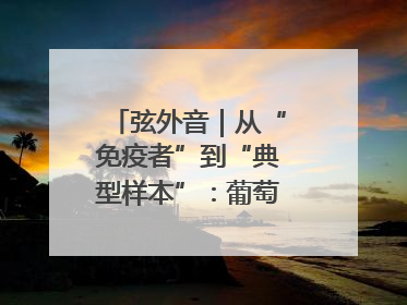 弦外音｜从“免疫者”到“典型样本”：葡萄牙极右翼崛起背后的欧洲困局