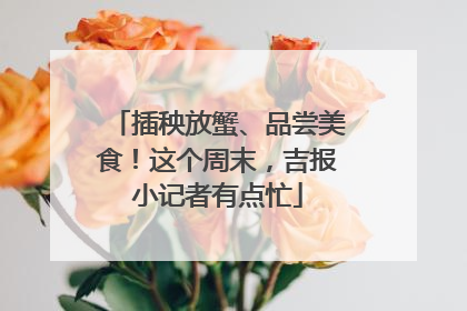 插秧放蟹、品尝美食！这个周末，吉报小记者有点忙