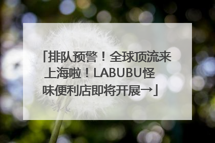 排队预警！全球顶流来上海啦！LABUBU怪味便利店即将开展→