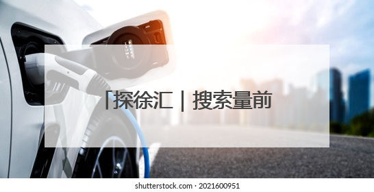 探徐汇｜搜索量前5的粽子是这些，看看有你爱吃的吗？