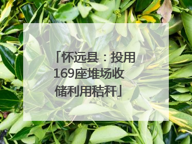 怀远县：投用169座堆场收储利用秸秆