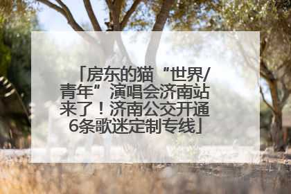 房东的猫“世界/青年”演唱会济南站来了！济南公交开通6条歌迷定制专线