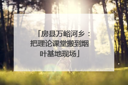 房县万峪河乡：把理论课堂搬到烟叶基地现场