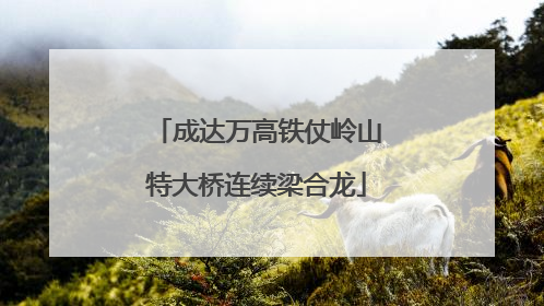 成达万高铁仗岭山特大桥连续梁合龙