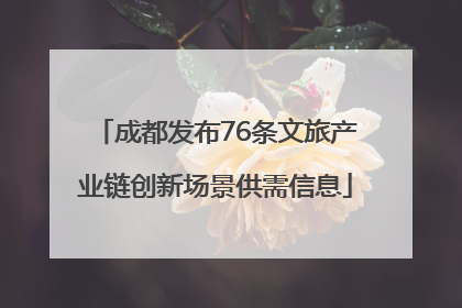 成都发布76条文旅产业链创新场景供需信息