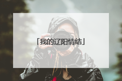 我的辽阳情结