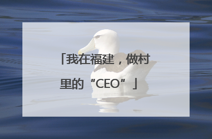 我在福建，做村里的“CEO”