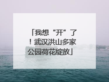 我想“开”了！武汉洪山多家公园荷花绽放