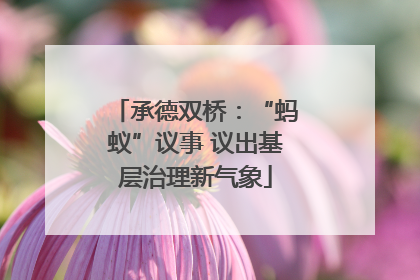 承德双桥：“蚂蚁”议事 议出基层治理新气象