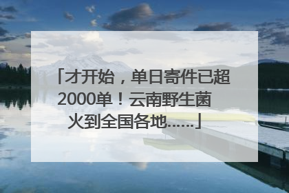 才开始，单日寄件已超2000单！云南野生菌火到全国各地……