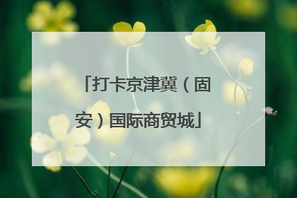 打卡京津冀（固安）国际商贸城