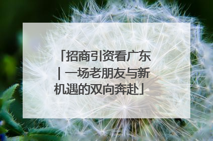 招商引资看广东｜一场老朋友与新机遇的双向奔赴