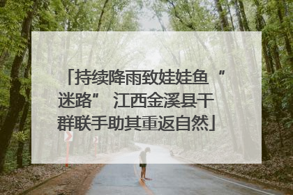 持续降雨致娃娃鱼“迷路” 江西金溪县干群联手助其重返自然